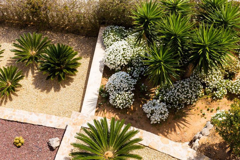 Cactus Planting Costs — Cost of Cactus Planting