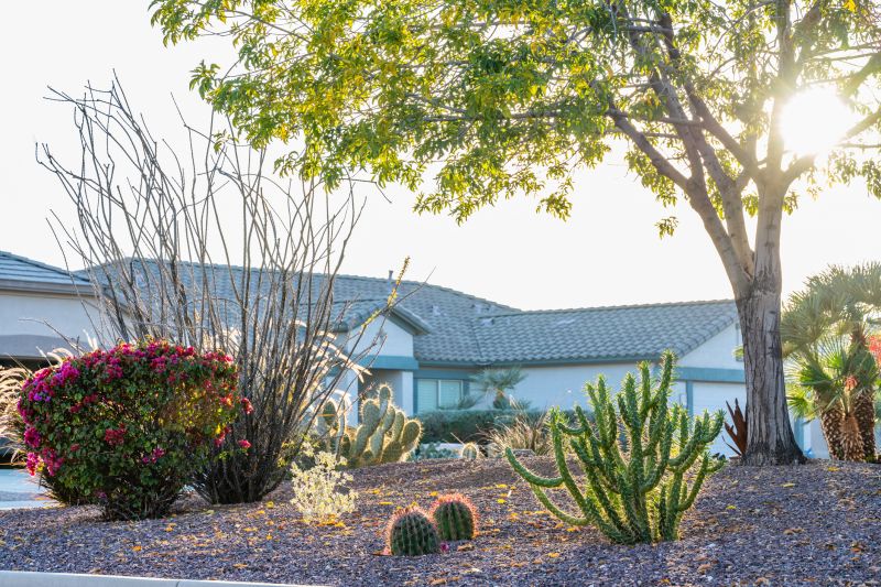 Cactus Planting Costs — Cost of Cactus Planting