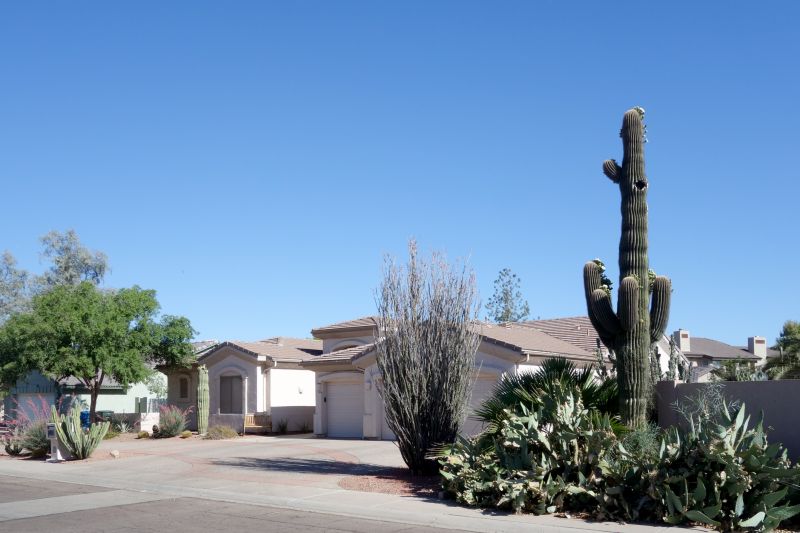 Cactus Planting Costs — Cost of Cactus Planting