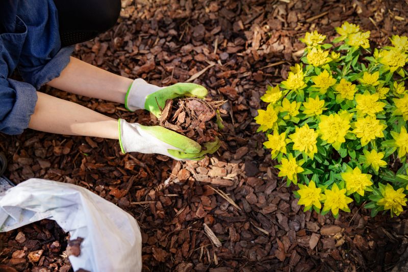 Mulched Leaves on Garden Bed
