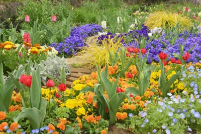 Garden Remodeling Service in Honolulu, HI