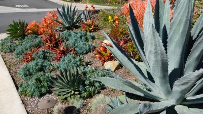 Create a Beautiful Landscape!